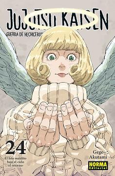 JUJUTSU KAISEN-24 | 9788467967319 | AKUTAMI, GEGE | Llibreria Geli - Llibreria Online de Girona - Comprar llibres en català i castellà