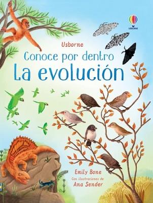 CONOCE POR DENTRO LA EVOLUCIÓN | 9781801315906 | BONE,EMILY | Libreria Geli - Librería Online de Girona - Comprar libros en catalán y castellano