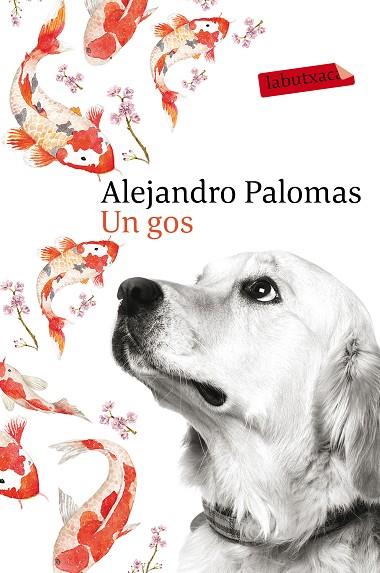 UN GOS | 9788416600625 | PALOMAS,ALEJANDRO | Libreria Geli - Librería Online de Girona - Comprar libros en catalán y castellano