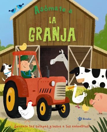 ASóMATE A LA GRANJA | 9788469622834 | V.V.A.A. | Llibreria Geli - Llibreria Online de Girona - Comprar llibres en català i castellà