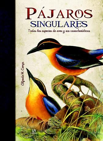 PAJAROS SINGULARES.TODAS LAS ESPECIES DE AVES Y SUS CARACTERÍSTICAS | 9788466224512 | SVETOSLAVA STAYKOVA, CLARA | Llibreria Geli - Llibreria Online de Girona - Comprar llibres en català i castellà