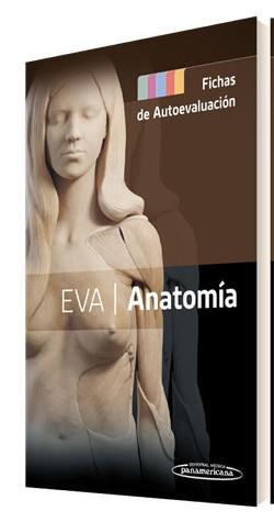 EVA/ANATOMÍA. FICHAS DE AUTOEVALUACIÓN | 9788411063579 | Llibreria Geli - Llibreria Online de Girona - Comprar llibres en català i castellà