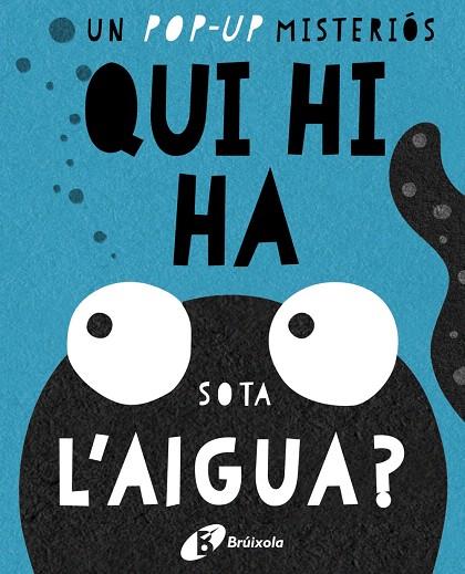 QUI HI HA SOTA L'AIGUA? | 9788499067667 | Llibreria Geli - Llibreria Online de Girona - Comprar llibres en català i castellà