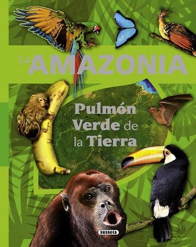 LA AMAZONIA,PULMON VERDE DE LA TIERRA | 9788467716191 | RODRIGUEZ,CARMEN | Libreria Geli - Librería Online de Girona - Comprar libros en catalán y castellano