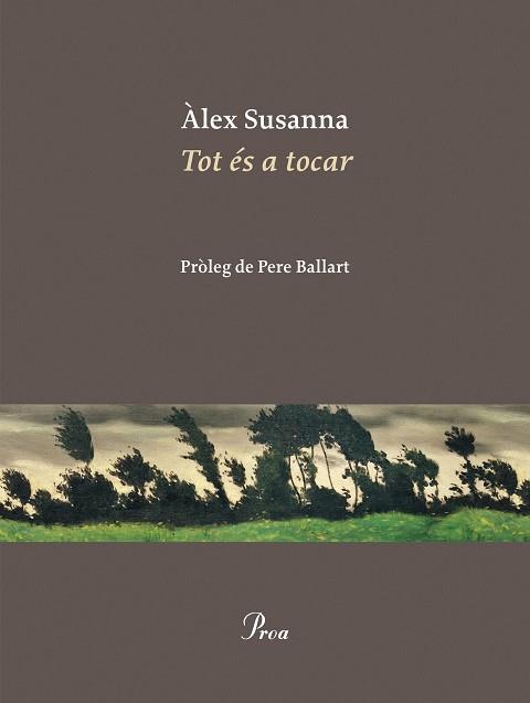 TOT ÉS A TOCAR | 9788410488045 | SUSANNA NADAL, ÀLEX | Libreria Geli - Librería Online de Girona - Comprar libros en catalán y castellano