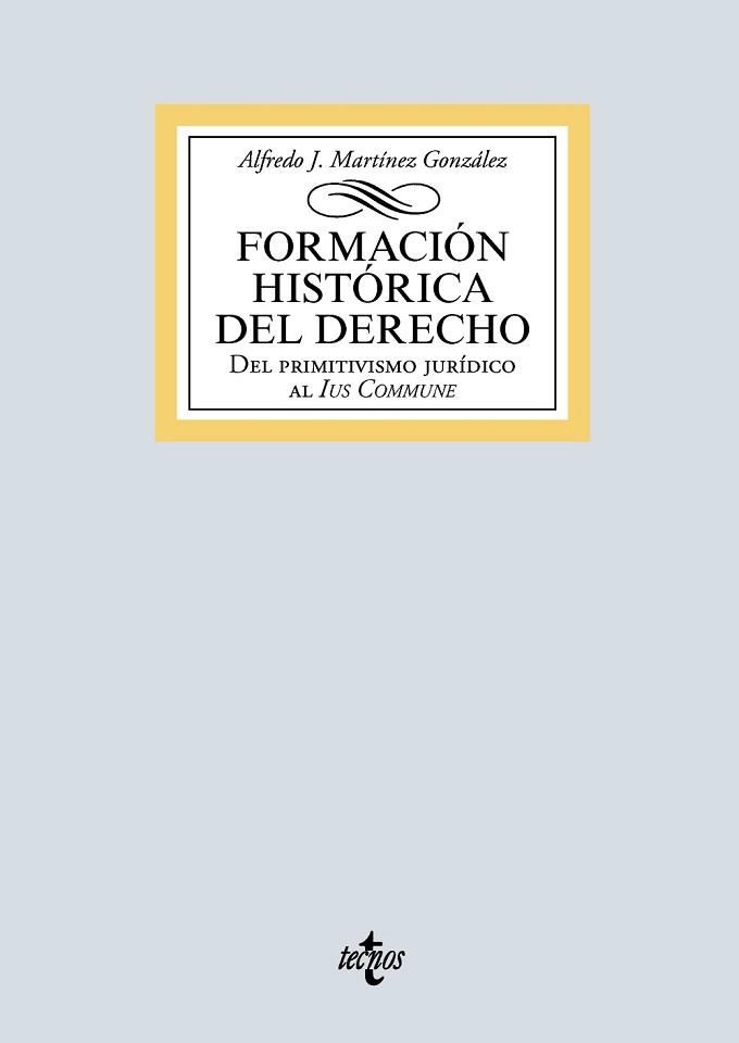 FORMACIÓN HISTÓRICA DEL DERECHO.DEL PRIMITIVISMO JURÍDICO AL IUS COMMUNE | 9788430978410 | MARTÍNEZ GONZÁLEZ,ALFREDO JOSÉ | Libreria Geli - Librería Online de Girona - Comprar libros en catalán y castellano