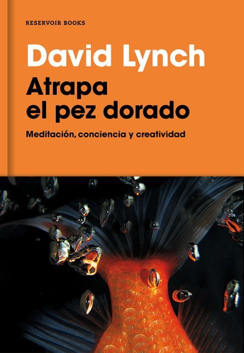 ATRAPA EL PEZ DORADO | 9788416709014 | LYNCH,DAVID | Llibreria Geli - Llibreria Online de Girona - Comprar llibres en català i castellà