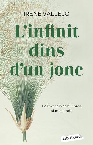 L'INFINIT DINS D'UN JONC | 9788419107121 | VALLEJO,IRENE | Libreria Geli - Librería Online de Girona - Comprar libros en catalán y castellano