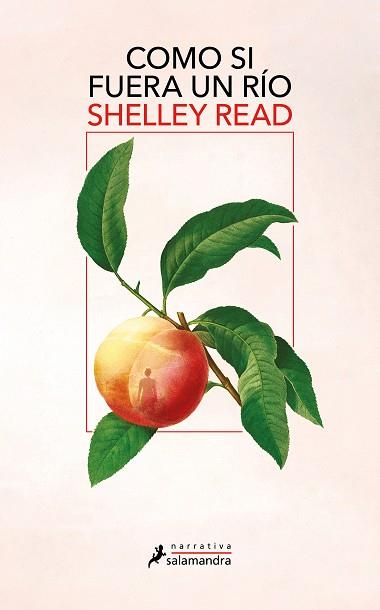 COMO SI FUERA UN RÍO | 9788419456540 | READ, SHELLEY | Llibreria Geli - Llibreria Online de Girona - Comprar llibres en català i castellà