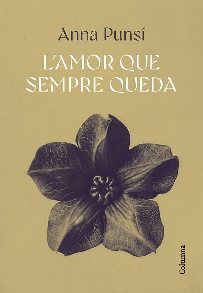 L'AMOR QUE SEMPRE QUEDA | 9788466432382 | PUNSÍ LLADÓ, ANNA | Llibreria Geli - Llibreria Online de Girona - Comprar llibres en català i castellà