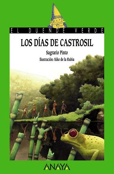 LOS DÍAS DE CASTROSIL | 9788467840636 | PINTO,SAGRARIO/DE LA RUBIA,KIKE (IL) | Llibreria Geli - Llibreria Online de Girona - Comprar llibres en català i castellà