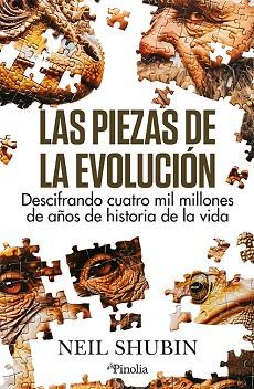 LAS PIEZAS DE LA EVOLUCIÓN | 9788419878649 | NEIL SHUBIN | Llibreria Geli - Llibreria Online de Girona - Comprar llibres en català i castellà