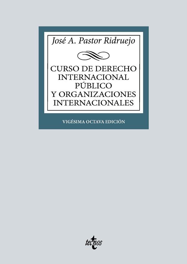 CURSO DE DERECHO INTERNACIONAL PÚBLICO Y ORGANIZACIONES INTERNACIONALES(28ª EDICIÓN 2024) | 9788430990467 | PASTOR RIDRUEJO, JOSÉ  ANTONIO | Llibreria Geli - Llibreria Online de Girona - Comprar llibres en català i castellà