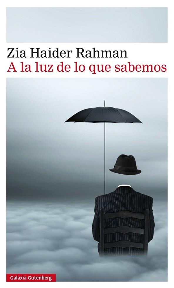 A LA LUZ DE LO QUE SABEMOS | 9788416252480 | HAIDER RAHMAN,ZIA | Llibreria Geli - Llibreria Online de Girona - Comprar llibres en català i castellà