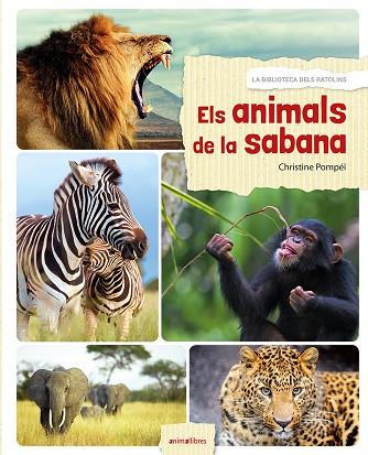 ELS ANIMALS DE LA SABANA | 9788416844524 | POMPÉÏ,CHRISTINE | Libreria Geli - Librería Online de Girona - Comprar libros en catalán y castellano