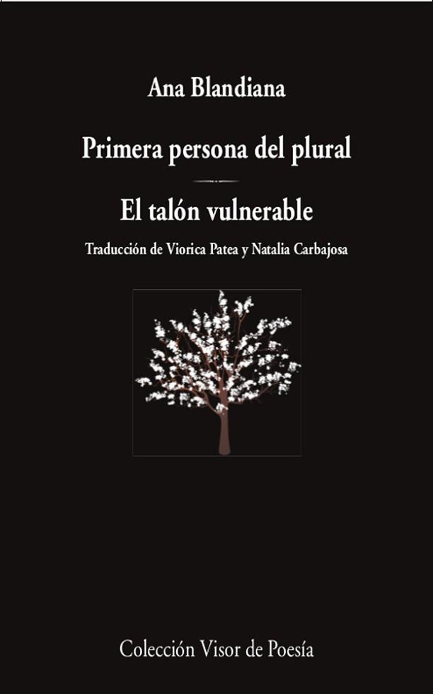 PRIMERA PERSONA DEL PLURAL/EL TALÓN VULNERABLE | 9788498954418 | BLANDIANA,ANA | Libreria Geli - Librería Online de Girona - Comprar libros en catalán y castellano