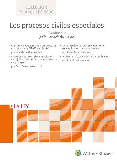 LOS PROCESOS CIVILES ESPECIALES | 9788490207970 | BANACLOCHE PALAO,JULIO | Libreria Geli - Librería Online de Girona - Comprar libros en catalán y castellano