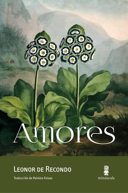 AMORES | 9788494675478 | DE RECONDO,LEONOR | Llibreria Geli - Llibreria Online de Girona - Comprar llibres en català i castellà