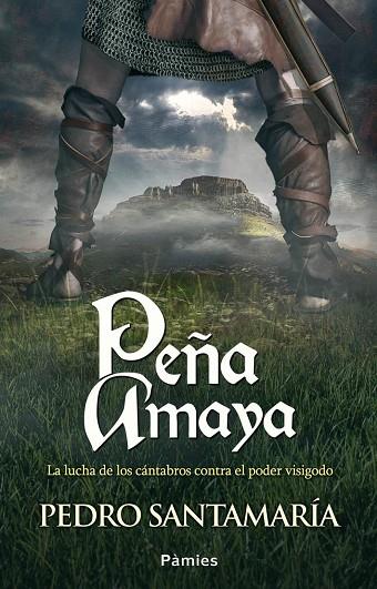 PEÑA AMAYA | 9788415433439 | SANTAMARÍA FERNÁNDEZ,PEDRO | Llibreria Geli - Llibreria Online de Girona - Comprar llibres en català i castellà