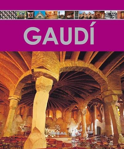 GAUDI | 9788499280288 | ESTÉVEZ, ALBERTO T. | Llibreria Geli - Llibreria Online de Girona - Comprar llibres en català i castellà