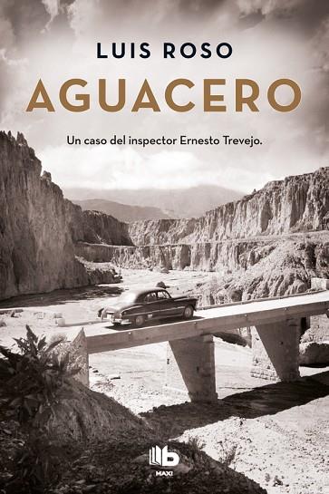 AGUACERO(INSPECTOR TREVEJO-1) | 9788490704363 | ROSO,LUIS | Llibreria Geli - Llibreria Online de Girona - Comprar llibres en català i castellà