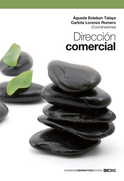 DIRECCIÓN COMERCIAL | 9788473569538 | ESTEBAN TALAYA,ÁGUEDA/LORENZO ROMERO,CARLOTA | Llibreria Geli - Llibreria Online de Girona - Comprar llibres en català i castellà