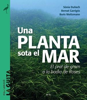 UNA PLANTA SOTA EL MAR | 9788418096747 | DUÑACH, SÒNIA/GARRIGÓS, BERNAT/WEITZMANN, BORIS | Llibreria Geli - Llibreria Online de Girona - Comprar llibres en català i castellà