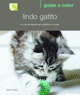 LINDO GATITO.LA VIA MAS SEGURA PARA SOCIALIZAR A TU GATO | 9788493662639 | TAYLOR,DAVID | Llibreria Geli - Llibreria Online de Girona - Comprar llibres en català i castellà