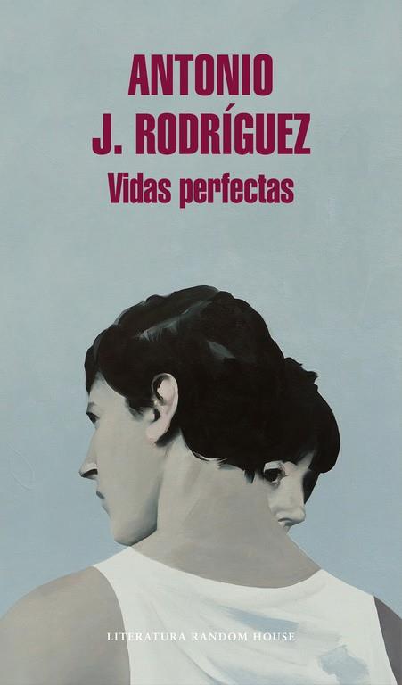 VIDAS PERFECTAS | 9788439732891 | RODRÍGUEZ,ANTONIO J. | Llibreria Geli - Llibreria Online de Girona - Comprar llibres en català i castellà