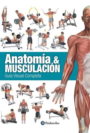 ANATOMÍA & MUSCULACIÓN.GUÍA VISUAL COMPLETA | 9788499104911 | Llibreria Geli - Llibreria Online de Girona - Comprar llibres en català i castellà