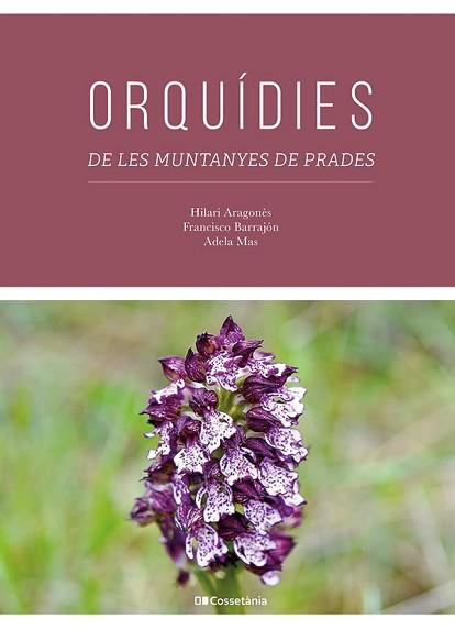 ORQUÍDIES DE LES MUNTANYES DE PRADES | 9788413563817 | ARAGONÈS CABRÉ, HILARI/BARRAJÓN IBÁÑEZ, FRANCISCO | Llibreria Geli - Llibreria Online de Girona - Comprar llibres en català i castellà