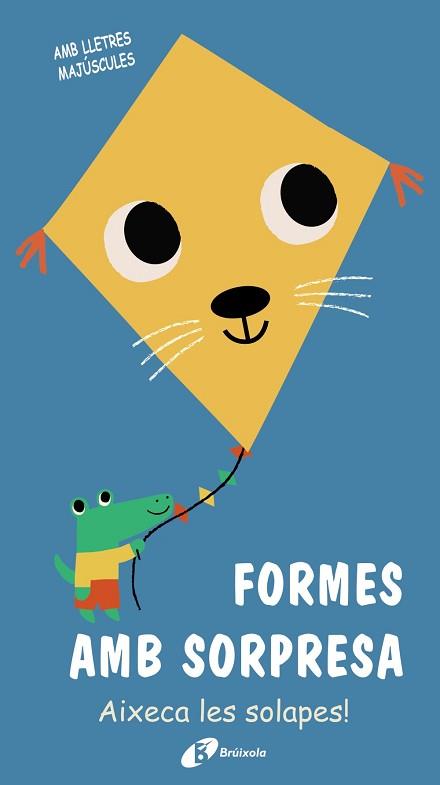 FORMES AMB SORPRESA | 9788499063690 | Llibreria Geli - Llibreria Online de Girona - Comprar llibres en català i castellà