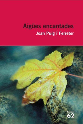 AIGUES ENCANTADES(INCLOU RECURS DIGITAL) | 9788492672431 | PUIG I FERRETER,JOAN | Llibreria Geli - Llibreria Online de Girona - Comprar llibres en català i castellà