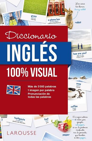 DICCIONARIO INGLÉS 100% VISUAL | 9788416641772 | Llibreria Geli - Llibreria Online de Girona - Comprar llibres en català i castellà