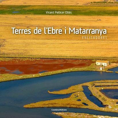 TERRES DE L'EBRE I MATARRANYA | 9788490345467 | PELLICER OLLÉS,VICENT | Llibreria Geli - Llibreria Online de Girona - Comprar llibres en català i castellà