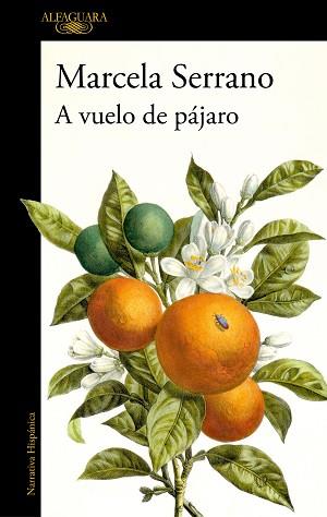 A VUELO DE PÁJARO | 9788420477978 | SERRANO, MARCELA | Libreria Geli - Librería Online de Girona - Comprar libros en catalán y castellano