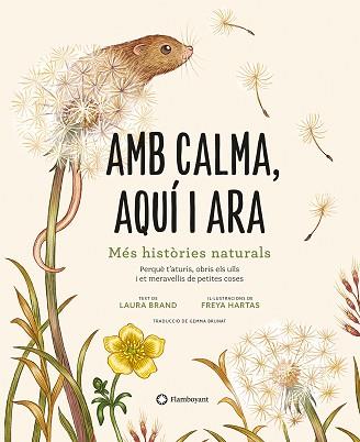 AMB CALMA,AQUÍ I ARA | 9788419401120 | BRAND,LAURA | Llibreria Geli - Llibreria Online de Girona - Comprar llibres en català i castellà