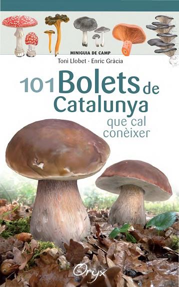 101 BOLETS DE CATALUNYA | 9788490347096 | LLOBET,TONI/GRÀCIA,ENRIC | Libreria Geli - Librería Online de Girona - Comprar libros en catalán y castellano
