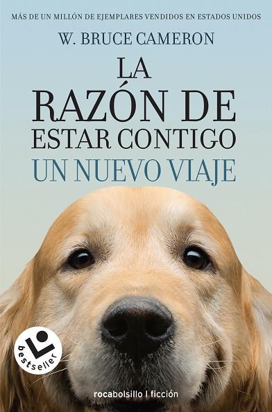 LA RAZÓN DE ESTAR CONTIGO.UN NUEVO VIAJE | 9788416240999 | CAMERON,W. BRUCE | Libreria Geli - Librería Online de Girona - Comprar libros en catalán y castellano