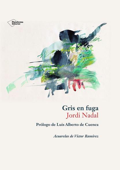 GRIS EN FUGA | 9788410243897 | NADAL HERNÁNDEZ, JORDI | Llibreria Geli - Llibreria Online de Girona - Comprar llibres en català i castellà