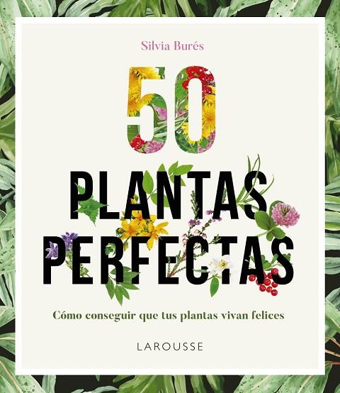 50 PLANTAS PERFECTAS | 9788416641840 | BURÉS,SILVIA | Llibreria Geli - Llibreria Online de Girona - Comprar llibres en català i castellà