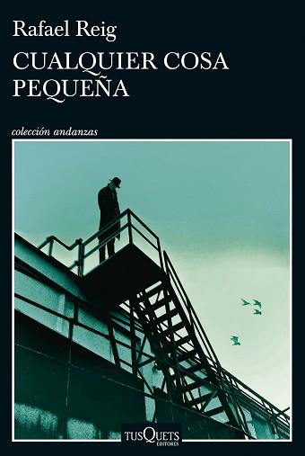 CUALQUIER COSA PEQUEÑA | 9788411074728 | REIG, RAFAEL | Libreria Geli - Librería Online de Girona - Comprar libros en catalán y castellano