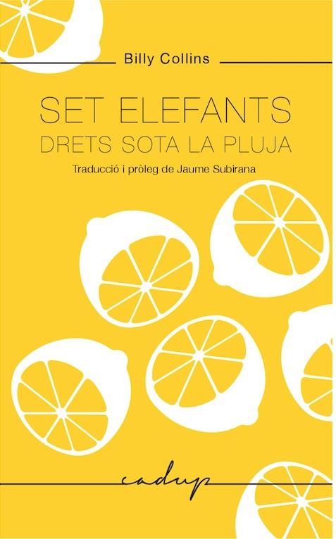 SET ELEFANTS DRETS SOTA LA PLUJA | 9788494943218 | COLLINS,BILLY | Libreria Geli - Librería Online de Girona - Comprar libros en catalán y castellano