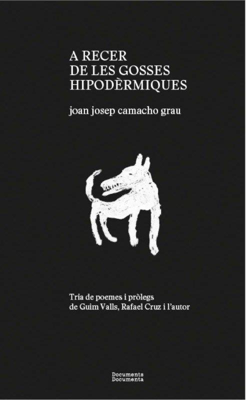 A RECER DE LES GOSSES HIPODÈRMIQUES | 9788412258257 | CAMACHO GRAU,JOAN JOSEP | Libreria Geli - Librería Online de Girona - Comprar libros en catalán y castellano