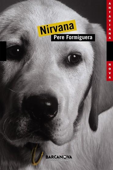 NIRVANA | 9788448919443 | FORMIGUERA,PERE | Llibreria Geli - Llibreria Online de Girona - Comprar llibres en català i castellà