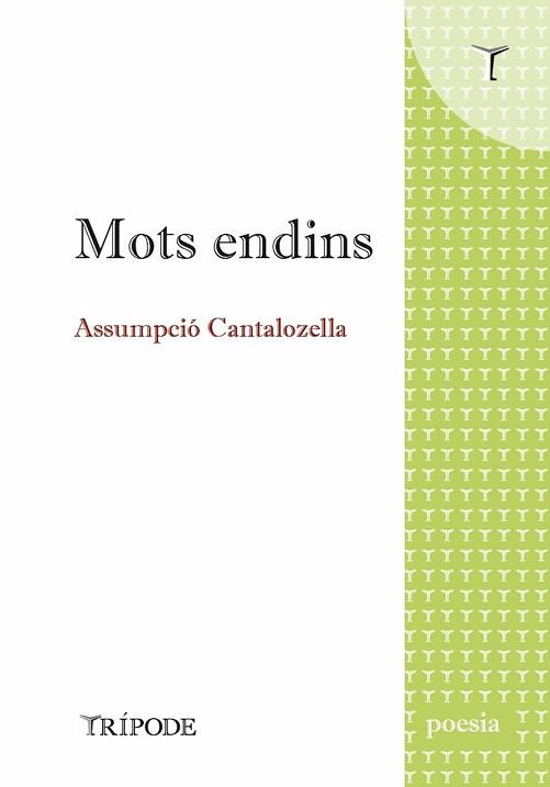 MOTS ENDINS | 9788412920819 | CANTALOZELLA,ASSUMPCIÓ | Libreria Geli - Librería Online de Girona - Comprar libros en catalán y castellano