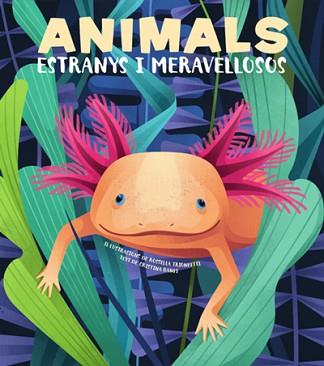 ANIMALS EXTRANYS I MERAVELLOSOS  | 9788468270685 | BANFI,CRISTINA | Llibreria Geli - Llibreria Online de Girona - Comprar llibres en català i castellà