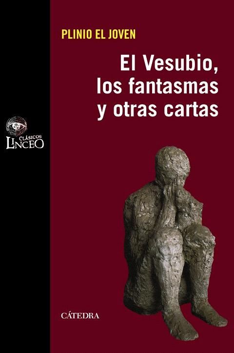 EL VESUBIO,LOS FANTASMAS Y OTRAS CARTAS | 9788437628899 | PLINIO EL JOVEN | Libreria Geli - Librería Online de Girona - Comprar libros en catalán y castellano