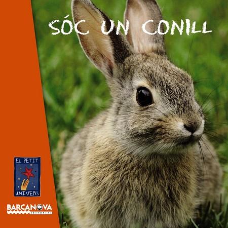 SÓC UN CONILL | 9788448932770 | EQUIP BARCANOVA | Libreria Geli - Librería Online de Girona - Comprar libros en catalán y castellano