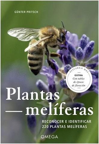 PLANTAS MELÍFERAS | 9788428217187 | PRITSCH,GÜNTER | Llibreria Geli - Llibreria Online de Girona - Comprar llibres en català i castellà